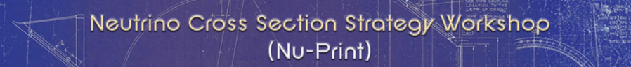 Neutrino Cross Section Strategy Workshop (Nu-Print)
