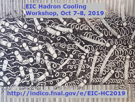 EIC Hadron Cooling Workshop