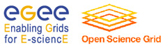Joint EGEE and OSG Workshop on Data Handling in Production Grids